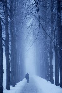 Rear view of person walking on snow covered landscape