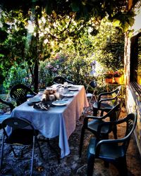 Chairs arranged by table in back yard