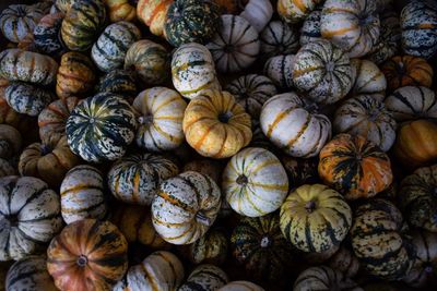 Full frame shot of pumpkins in market for sale