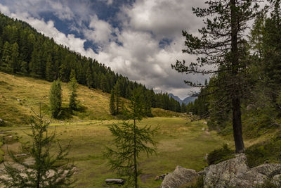 Panoramic view of landscape against sky