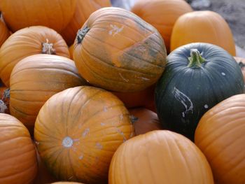 Full frame shot of pumpkins