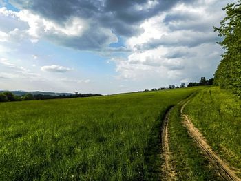 Scenic view of agricultural field against sky