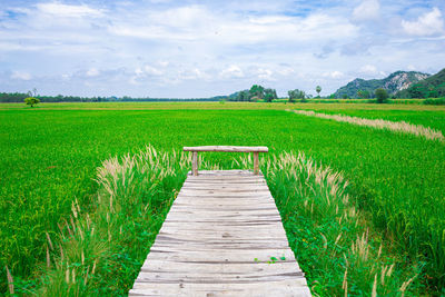View of wooden boardwalk on field against sky