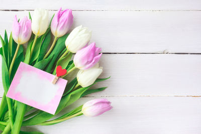 High angle view of pink tulip on table