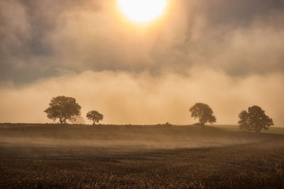 Scenic view of field against sky during sunset