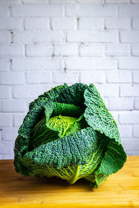 Close-up of green leaf on table against wall