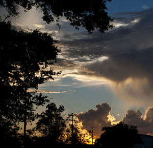 Low angle view of silhouette trees against sky