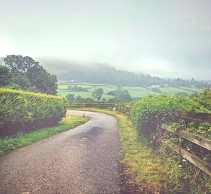 Road passing through field