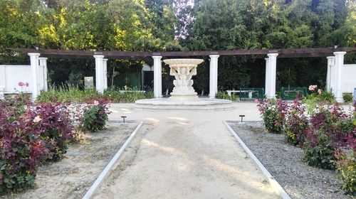 View of flowers in garden