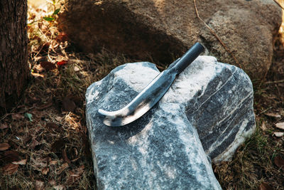 Close-up of dirt