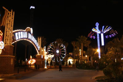 Illuminated ferris wheel at night