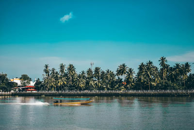 Scenic view of palm trees against blue sky