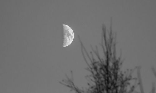 Close-up of moon against sky