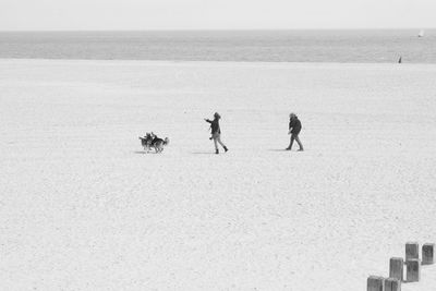 People standing on beach against sky during winter