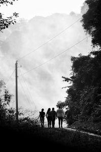 Rear view of people walking on street amidst trees against sky