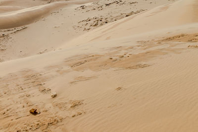 Sand dunes at beach