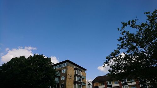 Low angle view of trees against blue sky