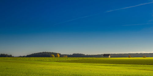 Scenic view of field against blue sky