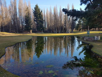 Reflection of trees in lake against sky