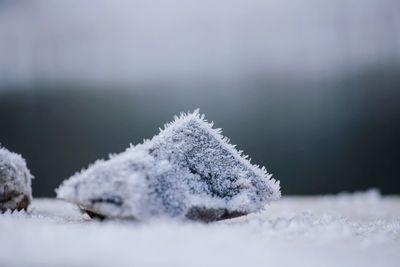 Close-up of snow on field