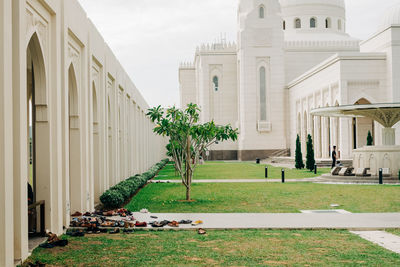 Trees and lawn outside building