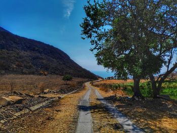 Road amidst trees and mountains against sky