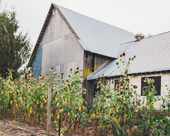 Exterior of house on field against clear sky