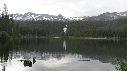 View of birds in lake