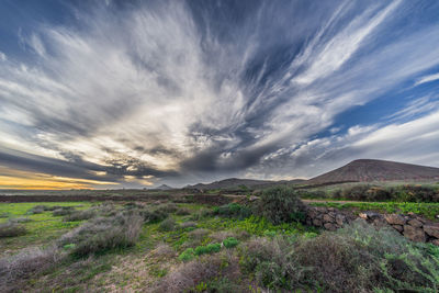 Scenic view of landscape against sky