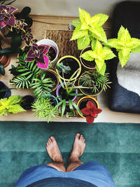 Low section of man standing by potted plants