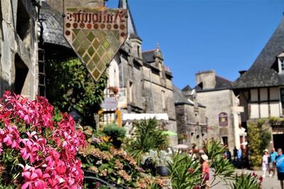 Flowering plants by buildings against clear sky