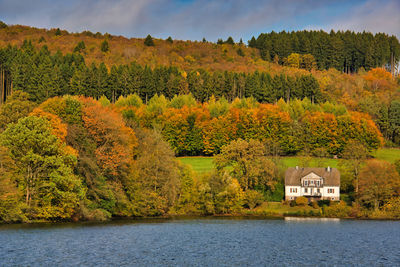 Scenic view of lake in forest during autumn