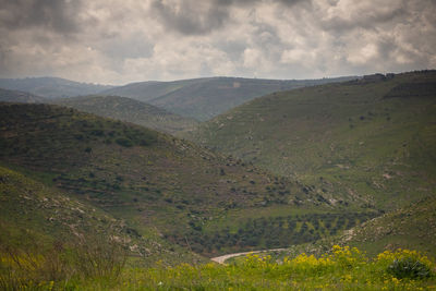 Scenic view of landscape against sky