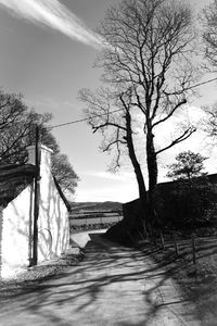 Footpath by bare trees against sky