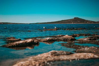 Scenic view of sea against clear blue sky