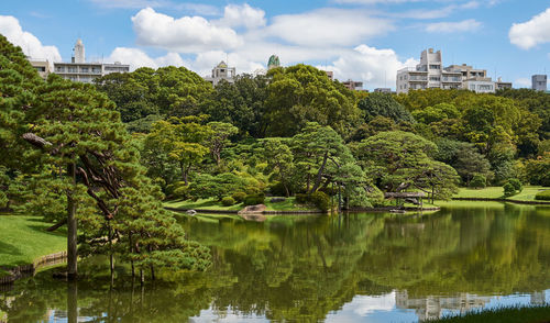 Trees by lake in park against sky