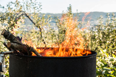 Close-up of fire on wood against sky