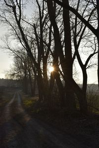 Silhouette trees in forest against sky