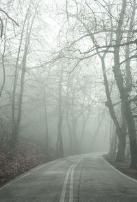 Pedestrian alley on the banks of frozen lake orestiada in misty morning