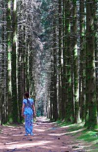 Full length rear view of woman standing on pathway amidst tree in forest