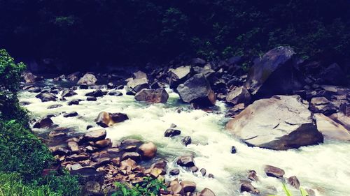 Rocks on ground