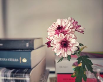 Close-up of pink flower vase on bookshelf
