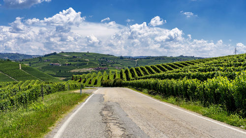 Road amidst agricultural field against sky