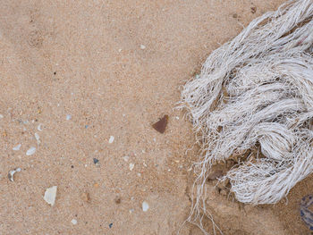 High angle view of fishing net on beach