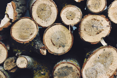 Full frame shot of logs in forest