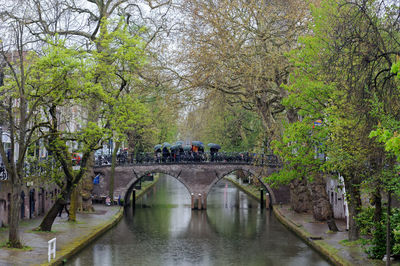 Arch bridge over river