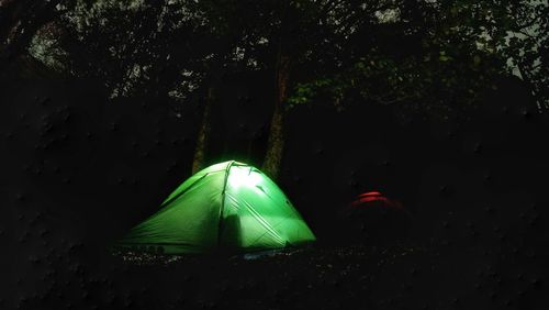 Tent on field in forest