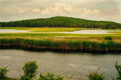 Scenic view of field against cloudy sky