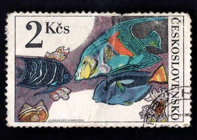 postage stamp