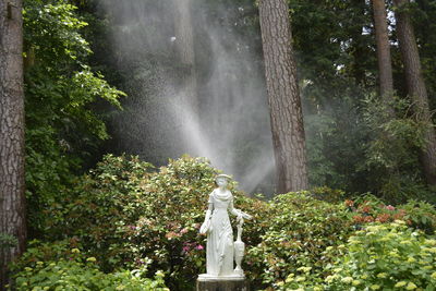 Statue and fountain in park